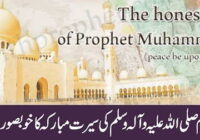A Beautiful History Of the Blessed Life of The Holy Prophet (P.B.U.H)