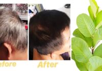 Know this Helpful way to Darken white hair From A Tea Leaf