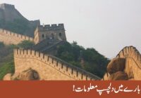 Interesting facts about China