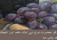 Hazrat Nuh watered the grape once and Satan watered it three times