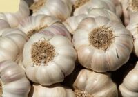 Don't ignore garlic because of stress