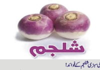 Benefits of winter vegetable turnip