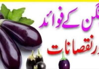Advantages and disadvantages of eggplant