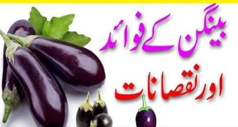 Advantages and disadvantages of eggplant