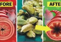 Unique Benefits of Green Cardamom and Maitre