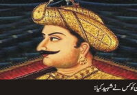 Who martyred Tipu Sultan