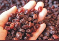 Black raisins! So many benefits of eating daily