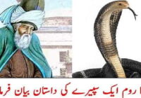 Maulana Rumi Tells The Story Of A Sapera