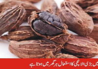 Cardamom is used in food in every home