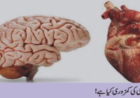 What is weakness of heart and Brain