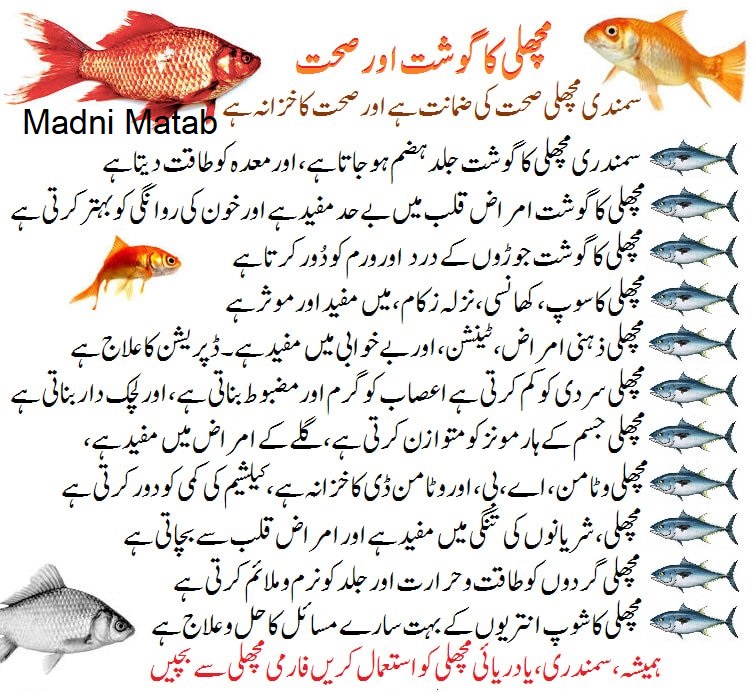 Fish meat and health