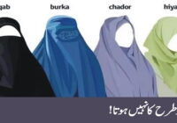 Purdah is not of two types
