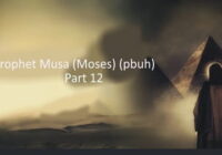 It is mentioned once that Hazrat Musa (P.B.U.H) was ordered by Allah Ta'ala