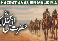 Hazrat Syedna Anas bin Malik RA says