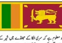 Why is there a sword in the lion's hand in the flag of Sri Lanka