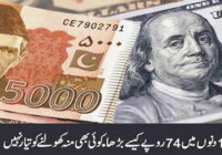 How The Dollar Increased By 74 Rupees In 100 Days