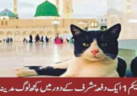 Once, During Musharraf’s Reign, Some People Went To Madinah To Attend