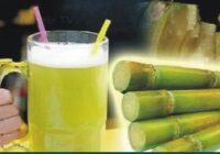 Treatment of jaundice with sugar cane juice