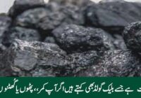 This is Shilajit, also known as Black Gold