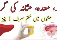 Liver Stomach Bladder Heat Treatment At Home