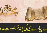 Some Beautiful Habits Of Our Beloved Prophet