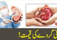 The Cost Of Human Kidney