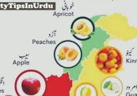 Pakistan Export Strategy Fruits and Vegetables